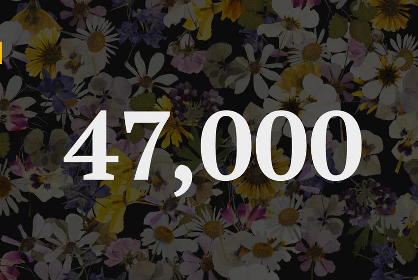Illustration showing flowers and the number of Texans who died in the first year of the pandemic — 47,000.